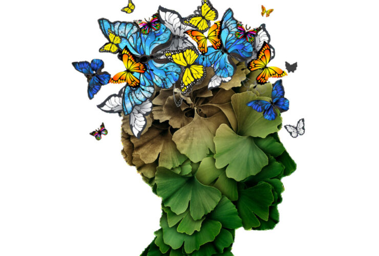 XI Sympozjum i Targi Zielarskie